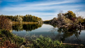Почти 16 млрд кубометров талых вод направлено в лиманы и озера Казахстана