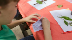 В Казахстане усилен контроль за подготовкой детских лагерей