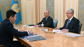 Токаев принял председателя правления АО «Самрук-Қазына»