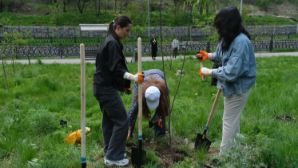 В Алматы более 2 тыс. молодых людей будут трудоустроены в экологические отряды «Жасыл ел»
