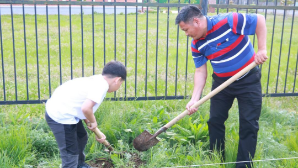Республиканская акция «Семейное дерево» прошла по всей стране