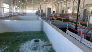 В Алматы построят водозаборное сооружение для обеспечения водой жителей Ерменсая