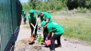 «Таза Қазақстан»: экологический «Парад парков» проведен в области Абай