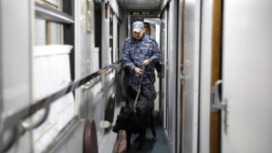 Служебная собака нашла наркотики у иностранца в поезде «Алматы – Актобе»