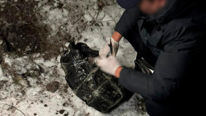 Казахстан, Россия и Кыргызстан совместно ликвидировали международные наркосети