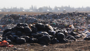 Прокуратура выявила экологические, санитарные нарушения в Туркестанской области