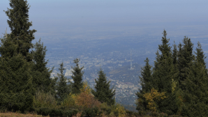 Алматы демонстрирует устойчивую положительную динамику социально-экономического развития