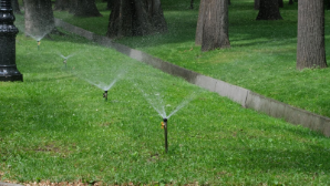  Более 500 км сетей атвополива и капельного орошения установлено в Алматы 