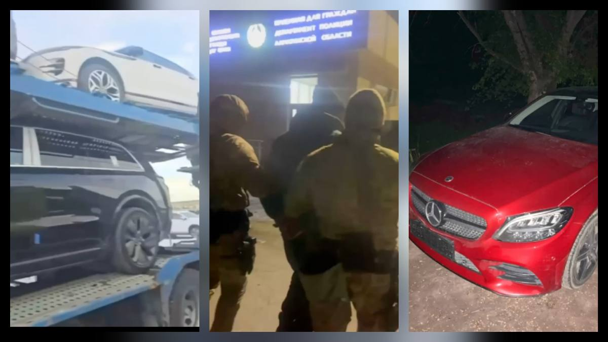 Крупная схема автомошенничества раскрыта в области Жетысу 