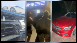 Крупная схема автомошенничества раскрыта в области Жетысу 