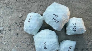 Полицейские изъяли наркотики у водителя в Шымкенте