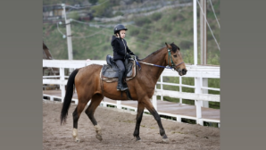 В Казахстане растет интерес к национальным видам спорта