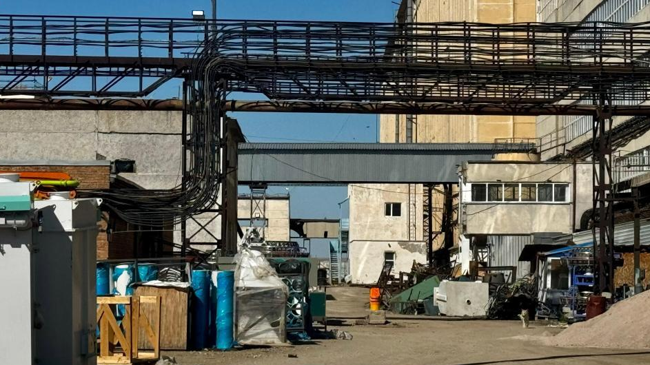 Три новых завода по производству растительного масла и муки строят в Конаеве 