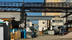 Три новых завода по производству растительного масла и муки строят в Конаеве 