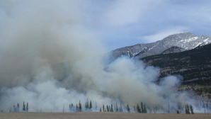 Казахстан и Китай объединяют усилия в борьбе с природными пожарами