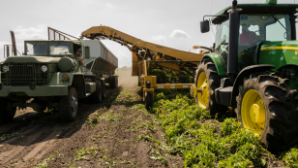 В Туркестанской области усилят работу по обеспечению кормами и защите посевов
