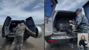 В Казахстане изъяты оружие и экипировка, похищенные во время январских событий