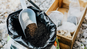 В области Ұлытау удобрения субсидируются на 60%