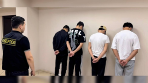 В Алматинской области раскрыто интернет-мошенничество на 250 млн тенге