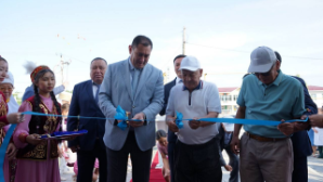 В области Жетісу введены в эксплуатацию два новых медицинских объекта