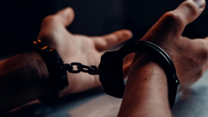 Полицейские изъяли более 920 кустов конопли у жителя Акмолинской области 