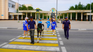 Зебра на зебре: в Костанае пони помогает в профилактике ДТП 