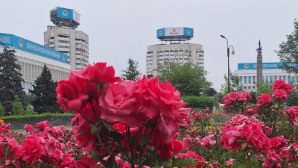 Иностранные компании инвестируют в Алматы: транспорт, IT, туризм