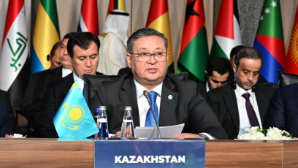 Казахстан выступил за прекращение огня и помощь пострадавшим в Газе