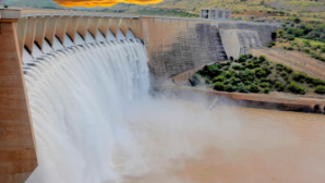 Еще 13 незаконных насосных установок для забора воды обнаружены в Кызылординской области