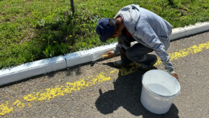 Более 240 тыс. студентов приняли участие в инициативе Президента «Таза Қазақстан»