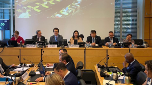 Защита женщин и поддержка НПО: Казахстан представил национальный доклад на сессии Комитета ООН