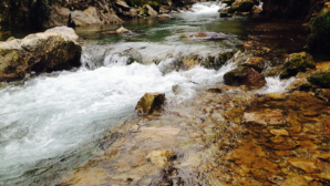 Более 300 млн м³ воды направил Кыргызстан в Казахстан