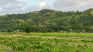 До старта сельхозпереписи в Казахстане остался месяц