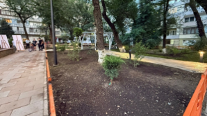 Бюджетные поступления из Алмалинского района Алматы превысили 500 млрд тенге