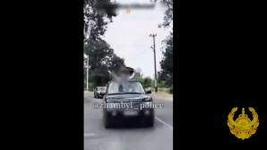 Таразских выпускников оштрафовали за автокортеж