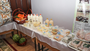 Казахстан и Катар нацелены на новые направления экономического партнерства