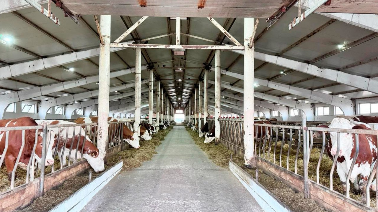  Льготное кредитование для аграриев запустят в Казахстане