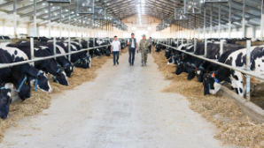  До 50 тыс. тонн мяса в год начнет экспортировать Казахстан 