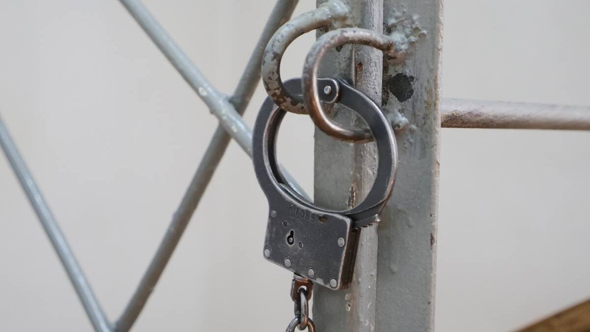 Фальшивые талоны, ремонт и призрачный магазин: полицейские разоблачили столичных аферистов