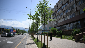 Аким Алматы поручил усилить контроль за поливом и уходом за зелеными зонами