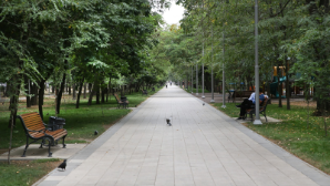 Пешеходную зону нового поколения создают в Бостандыкском районе Алматы  