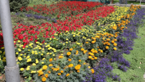 Благоустройство с заботой: в Жетысуском районе появится зеленый оазис