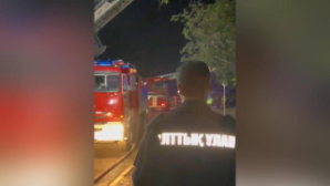 Бойцы Нацгвардии задержали почти 10 тыс. правонарушителей за полгода