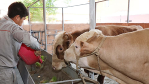 Возврат средств: в Жамбылской области выданы кредиты на реализацию 711 проектов