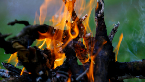 МЧС предупреждает о правилах безопасности в летний период