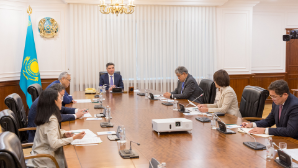 Поручения Президента: правительство Казахстана подготовит комплекс мер по защите медиков 