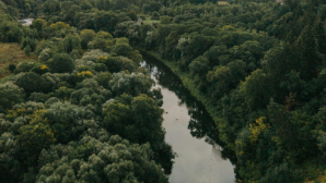 780 км каналов очищены в Казахстане для нужд аграриев