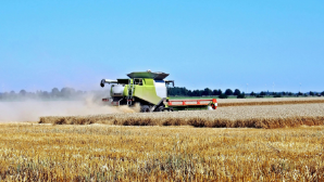 В Акмолинской области начали уборку озимой пшеницы