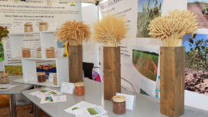 AGROFEST – 2025: В Западно-Казахстанской области проходит главное аграрное событие года