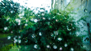 Дожди и грозы накроют большую часть Казахстана 